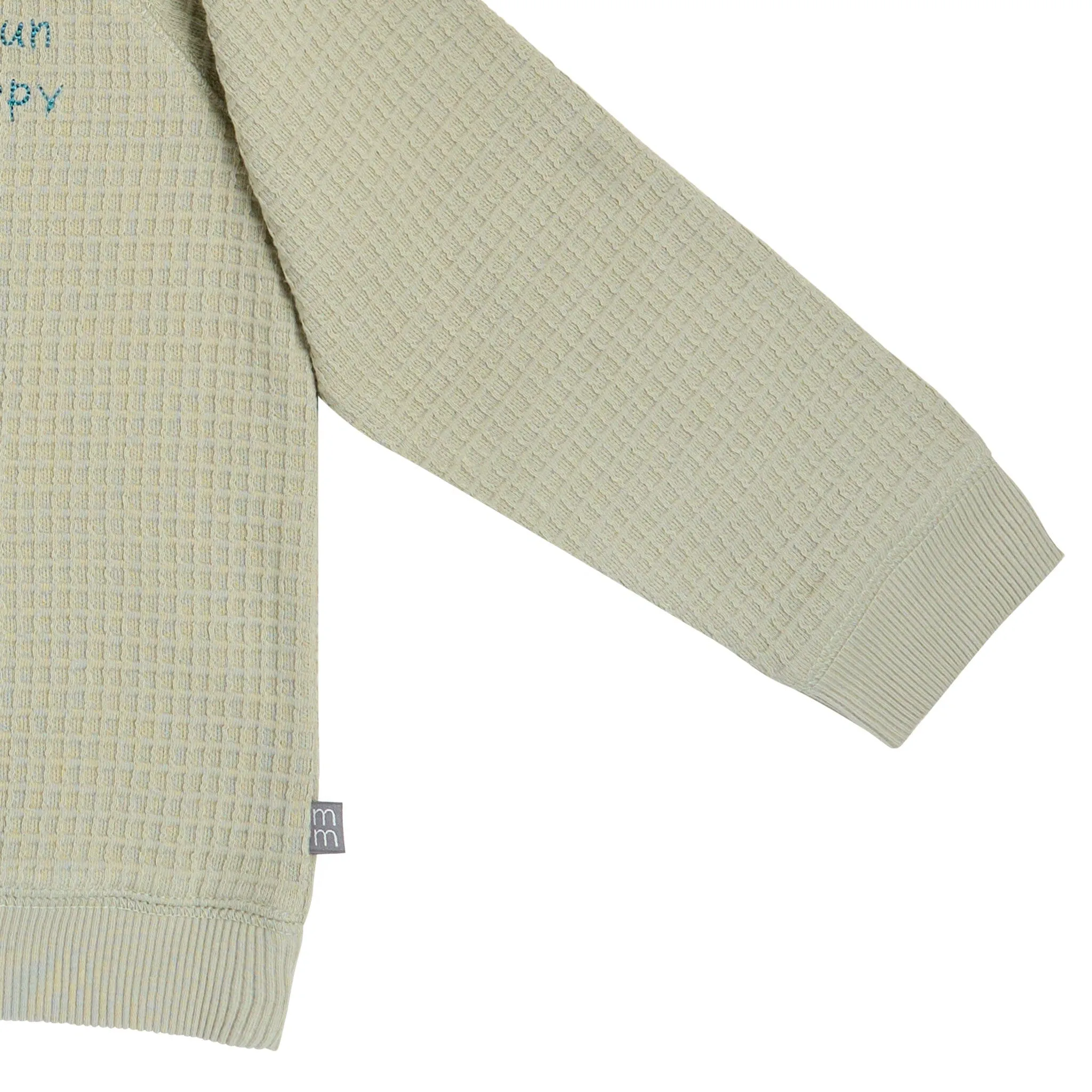 2-Piece Infant & Toddler Boys Light Green Long Sleeve Top and Shorts Set