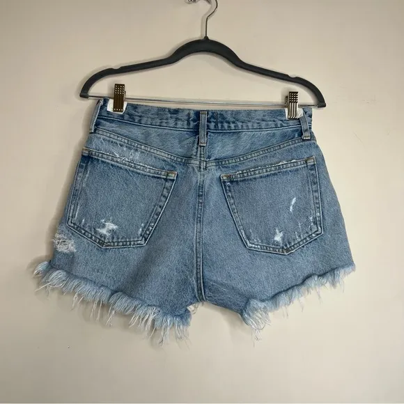 Agolde Parker Vintage Cut Off Shorts in Swapmeet