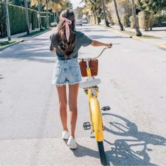 Agolde Parker Vintage Cut Off Shorts in Swapmeet