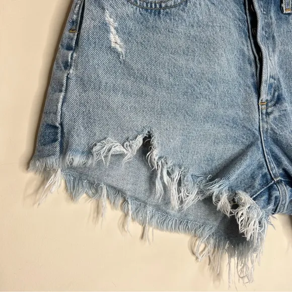 Agolde Parker Vintage Cut Off Shorts in Swapmeet