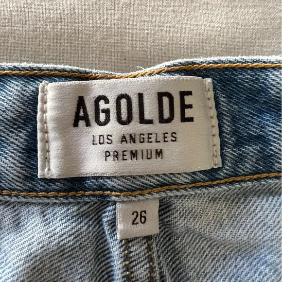 Agolde Parker Vintage Cut Off Shorts in Swapmeet