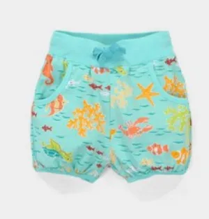 Boys Shorts