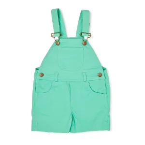 Green Denim Shorts