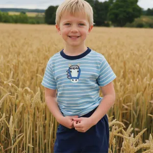 Horse Boy's Shorts Set