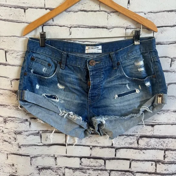 One X Teaspoon Bandits Shorts In Blue Cult SZ 30