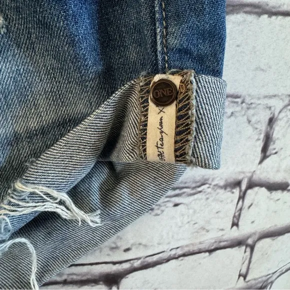 One X Teaspoon Bandits Shorts In Blue Cult SZ 30