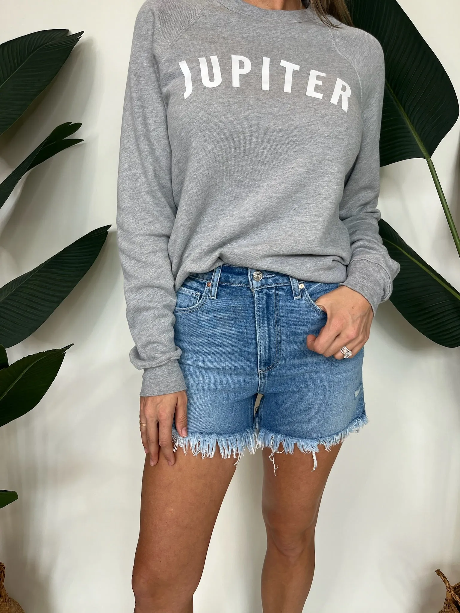 Paige Dani Denim Short Merci