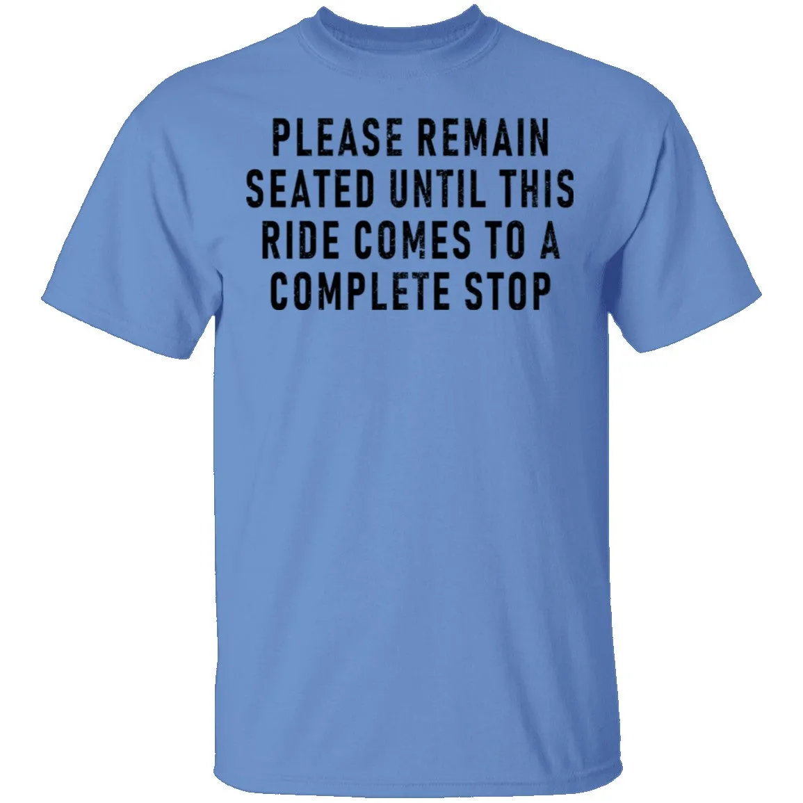 Please Remain Seated Until This RIde Comes To A Complete Stop T-Shirt