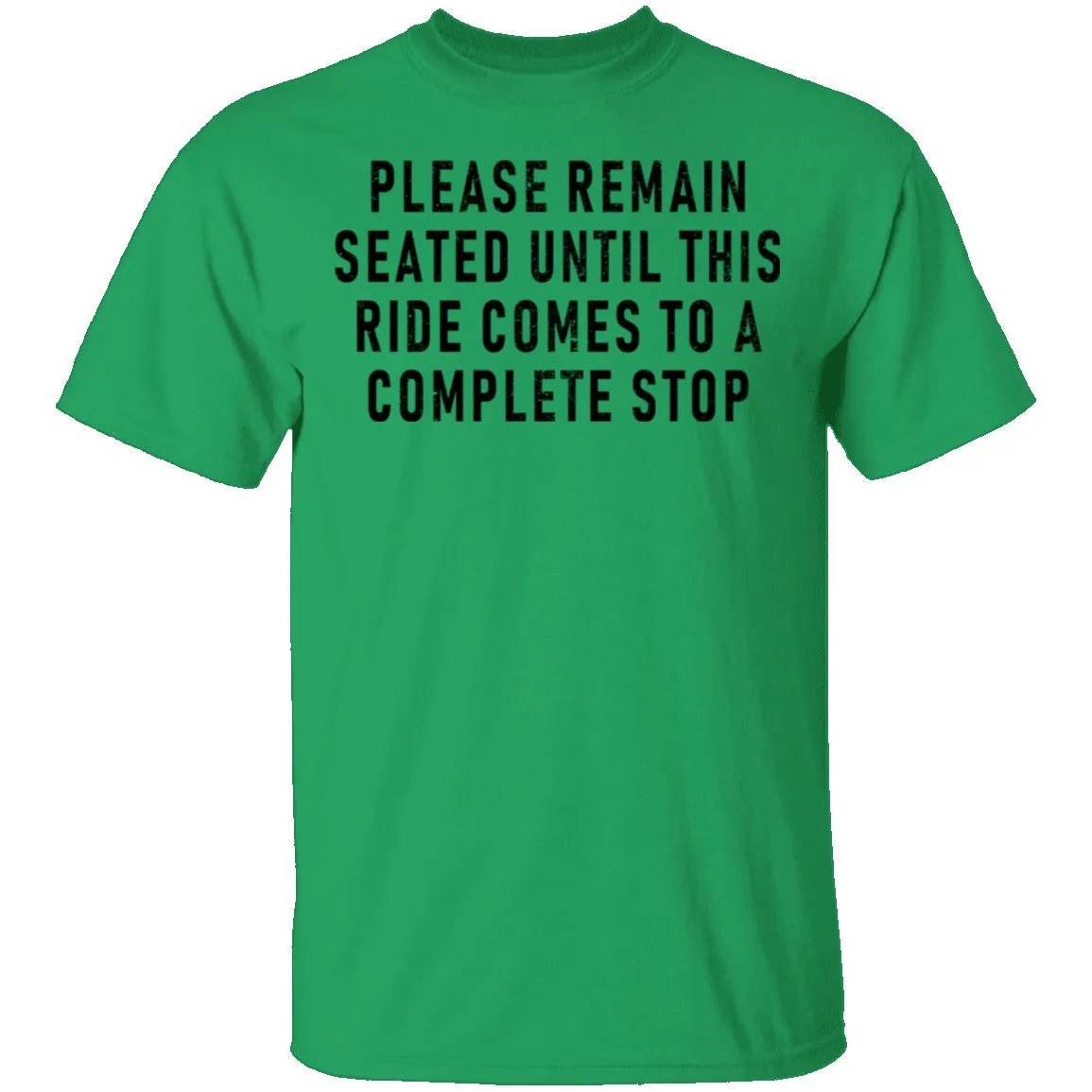 Please Remain Seated Until This RIde Comes To A Complete Stop T-Shirt
