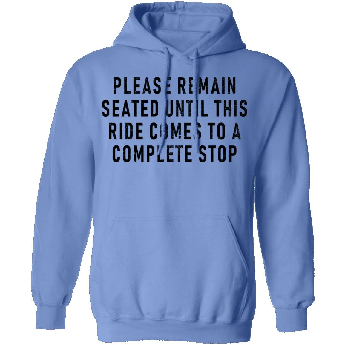 Please Remain Seated Until This RIde Comes To A Complete Stop T-Shirt
