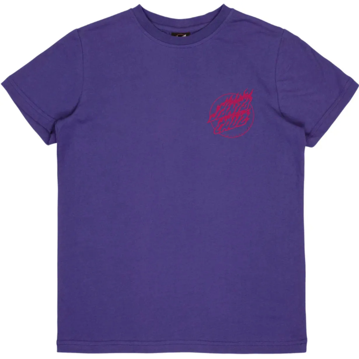 Santa Cruz Youth T-Shirt Youth Pokemon Fire Type 1