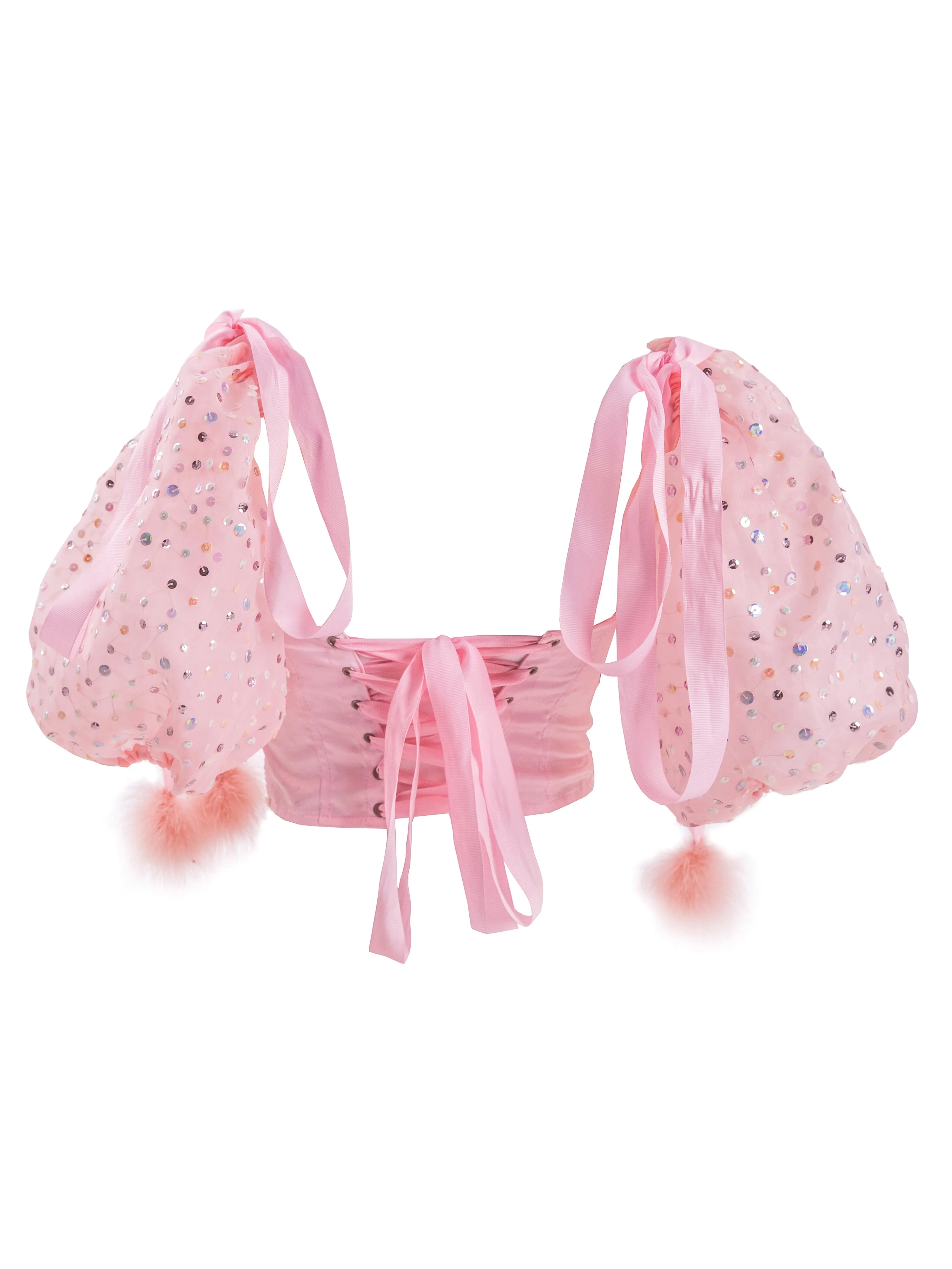 The Sakura Sideshow Princess Bodice
