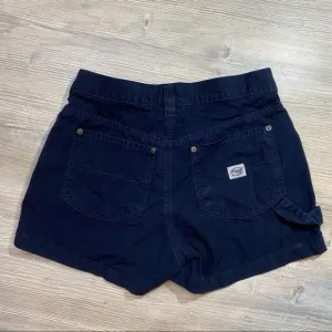 Vintage Silver Jeans High Rise Shorts